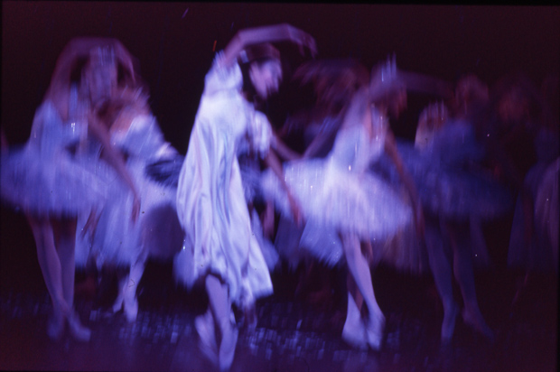 John Fenton - Nutcracker 3